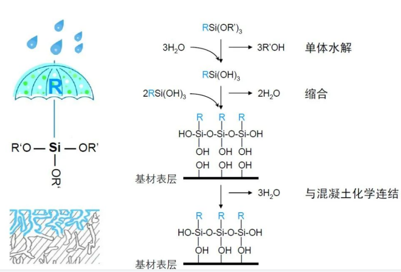 防护机理.png